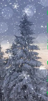 winter Live Wallpaper