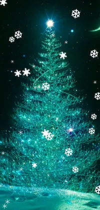Plant Christmas Tree Green Live Wallpaper