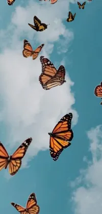 Enjoy a stunning and dynamic phone live wallpaper featuring a swarm of colorful butterflies