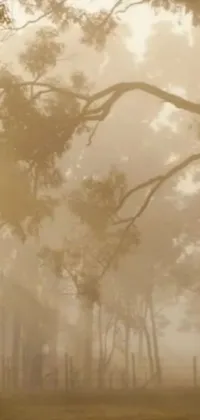 Plant Cloud Fog Live Wallpaper