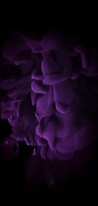 Plant Cloud Purple Live Wallpaper