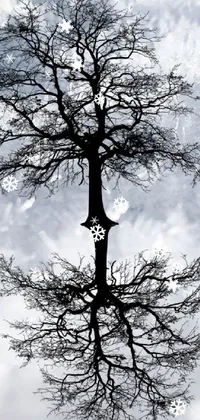 This beautiful live wallpaper features a stunning black and white photograph of a tree with intricate branches and twigs
