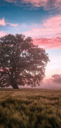 This live wallpaper depicts a stunning oak tree in the midst of a lush, green field