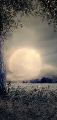 This unique live wallpaper displays a digital art fantasy photography featuring a majestic tree set in an open field against a stunning full moon background