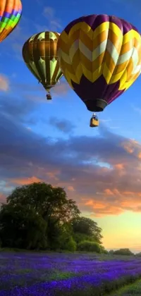 This live wallpaper boasts three colorful hot air balloons set against a picturesque lavender field