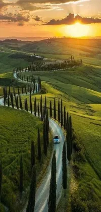 This live phone wallpaper depicts a car driving down a picturesque country road at sunset