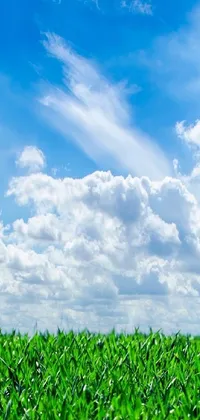 Plant Cloud Sky Live Wallpaper