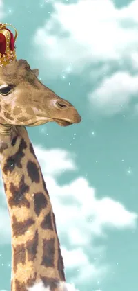 Looking for an eye-catching phone wallpaper? Our giraffe and hot air balloon live wallpaper is the perfect choice! You'll love the digital rendering of a giraffe standing next to a hot air balloon, as they fly through the clouds of a beautiful sky