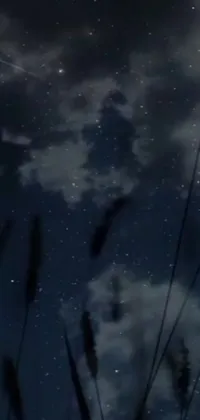 Looking for a stunning live wallpaper to adorn your phone screen? Look no further than this mesmerizing image of a plane gliding through the starry night sky