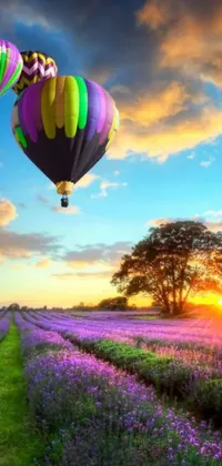 Enjoy the stunning beauty of two hot air balloons floating above a gorgeous lavender field with this phone live wallpaper, featuring colorful 4k HD visuals in a sunset psychedelic style