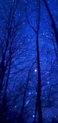 This phone live wallpaper showcases a serene, blue forest under a magical night sky filled with twinkling stars