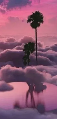 This live phone wallpaper features two giraffes standing on a cloud covered ground, overlooking a pink ocean surrounded by palm trees