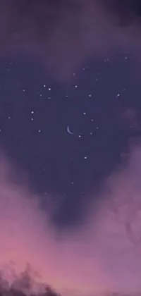 This captivating phone live wallpaper features a heart-shaped cloud surrounded by a stunning night sky in the eclectic sailor moon aesthetic style