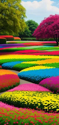 Plant Colorfulness Flower Live Wallpaper