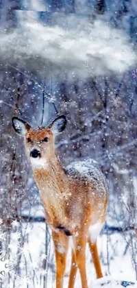 Plant Deer Snow Live Wallpaper