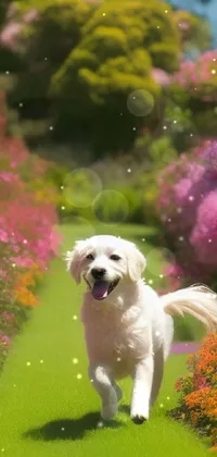 This live phone wallpaper features a beautiful digital rendering of a white canine running in a lush green field with color field gardens in the surroundings