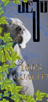 Plant Dog Font Live Wallpaper