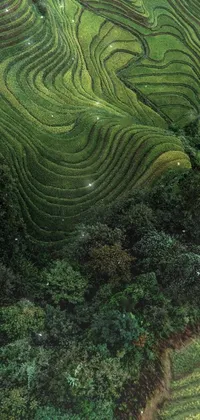 This live wallpaper features a mesmerizing abstract nature landscape of a group of people standing on a lush green hillside with intricate patterns and textures