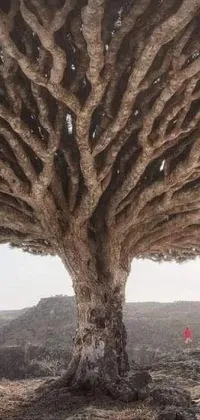 Enhance your phone with this surrealistic live wallpaper featuring a large tree standing tall in the middle of a desert