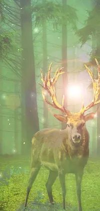 deer in Forest Live Wallpaper