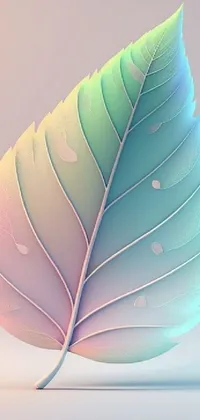 Plant Feather Natural Material Live Wallpaper