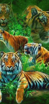 Plant Felidae Bengal Tiger Live Wallpaper