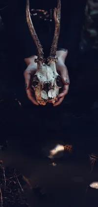 This exquisite phone live wallpaper showcases a mystical and moody scene of a deer skull accompanied by pumpkins and candles