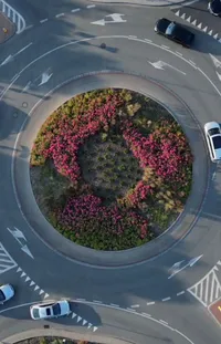Plant Flower Automotive Tire Live Wallpaper