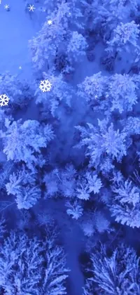 Plant Flower Blue Live Wallpaper