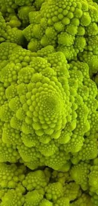 This mobile live wallpaper showcases a stunning close-up of green broccoli florets arranged in the golden ratio