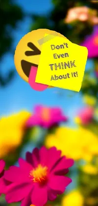 This lively phone live wallpaper features a vibrant yellow sticker with the phrase "don't think about it," surrounded by a playful mix of colorful elements