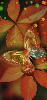 Plant Flower Leaf Live Wallpaper