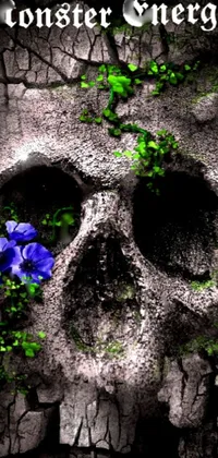 This dark and mystical phone wallpaper features a skull adorned with a blooming flower growing from one of its eye sockets