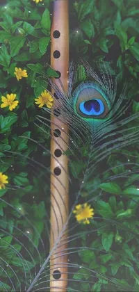 This live phone wallpaper features a beautiful flute with a peacock feather