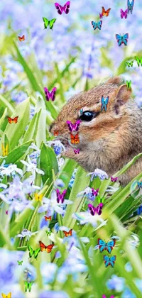This phone live wallpaper showcases a chipmunk sitting amid a field of charming blue flowers