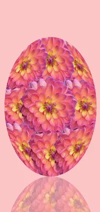 Introducing a stunning phone live wallpaper that features a mesmerizing ball of coral-covered dahlias set on a pink background