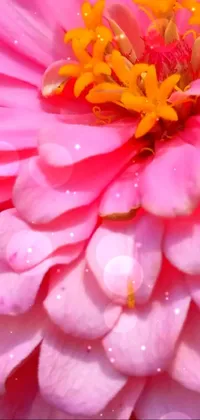 Looking for a visually stunning wallpaper for your phone? Look no further than this mesmerizing live wallpaper featuring a stunning pink flower perched atop a verdant green field