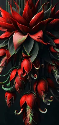 Plant Flower Petal Live Wallpaper
