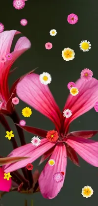 This phone live wallpaper features a mesmerizing close-up of a pink flower in a vase
