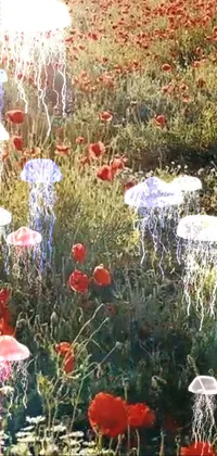 This phone live wallpaper features a vibrant field of red, white and blue flowers, complemented by mesmerizing video art, a serene sky backdrop and enchanting garden creatures