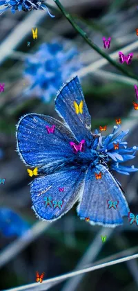 This mobile wallpaper features a stunning photograph of a blue butterfly resting on a blue flower amidst the serene beauty of the steppe