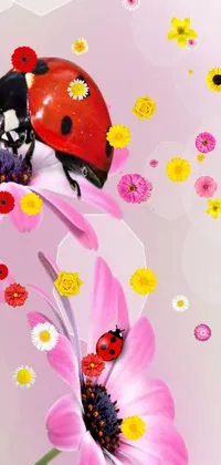 Plant Flower Pollinator Live Wallpaper