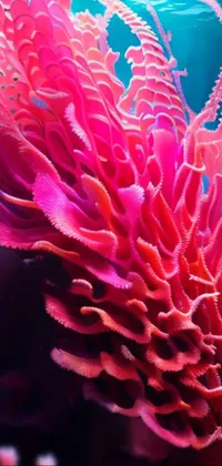 Plant Flower Underwater Live Wallpaper