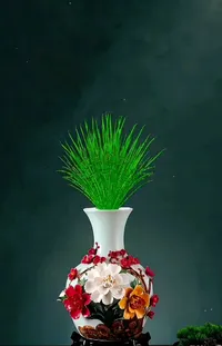 Plant Flowerpot Flower Live Wallpaper