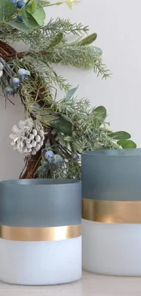 Plant Flowerpot Houseplant Live Wallpaper