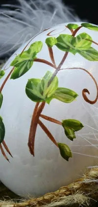 Plant Flowerpot Houseplant Live Wallpaper