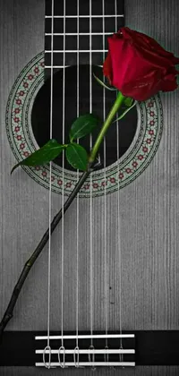 Plant Font Musical Instrument Live Wallpaper