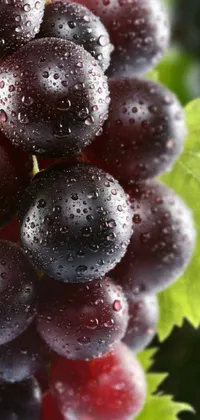 This smartphone live wallpaper features a stunning digital rendering of a close-up bunch of grapes on a vine