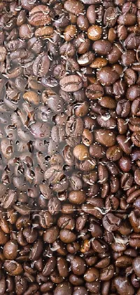 Plant Food Coffee Live Wallpaper