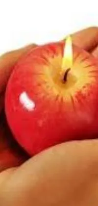 This phone live wallpaper features an enticing red apple nestled in the palm of a hand, as wax drips down the side of a nearby candle